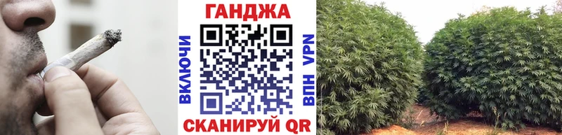 Канабис OG Kush  Купить где  Реутов 
